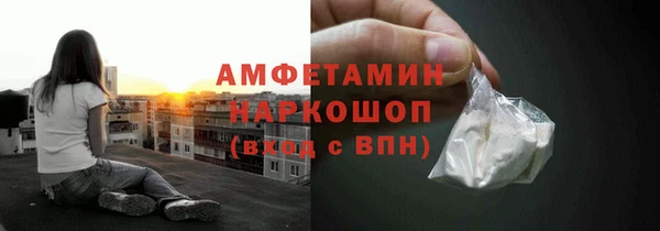 прущие грибы Алзамай