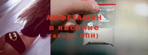 прущие грибы Алзамай