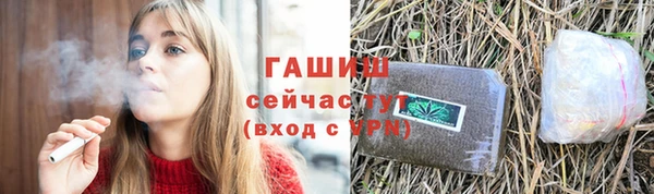 прущие грибы Алзамай