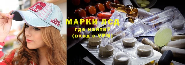 прущая мука Вяземский