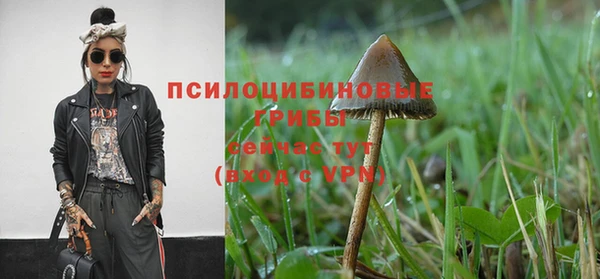 мяу мяу мука Алексин