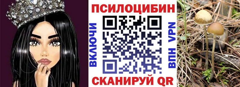 Галлюциногенные грибы MAGIC MUSHROOMS  даркнет формула  Могоча 